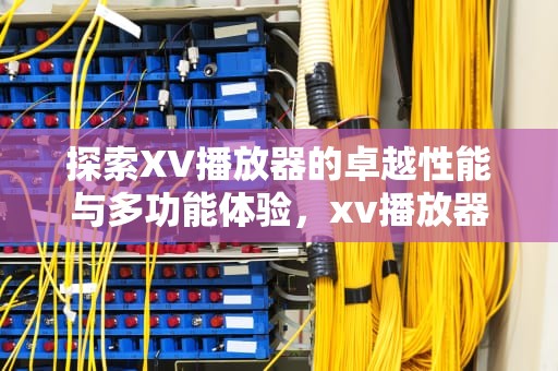 探索XV播放器的卓越性能与多功能体验，xv播放器安装包