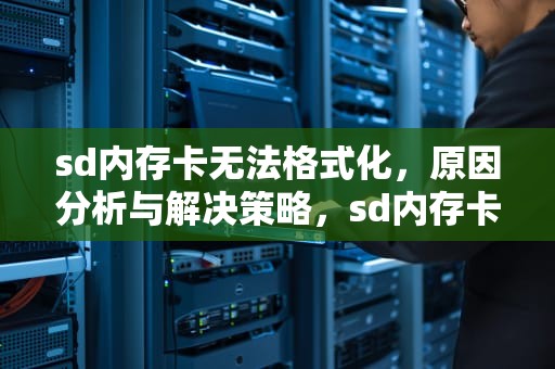 sd内存卡无法格式化，原因分析与解决策略，sd内存卡无法格式化怎么办