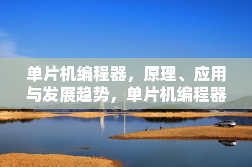 单片机编程器，原理、应用与发展趋势，单片机编程器哪种好