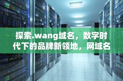 探索.wang域名，数字时代下的品牌新领地，网域名ip查询
