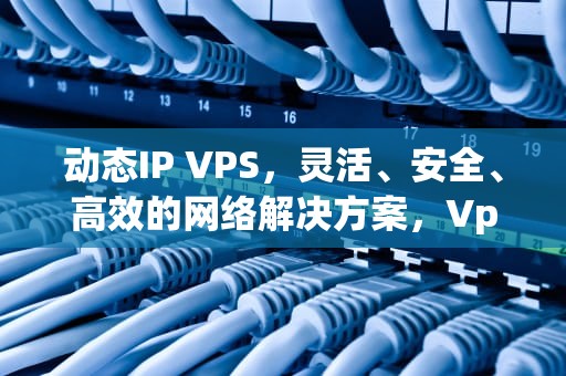 动态IP VPS，灵活、安全、高效的网络解决方案，Vps动态服务器