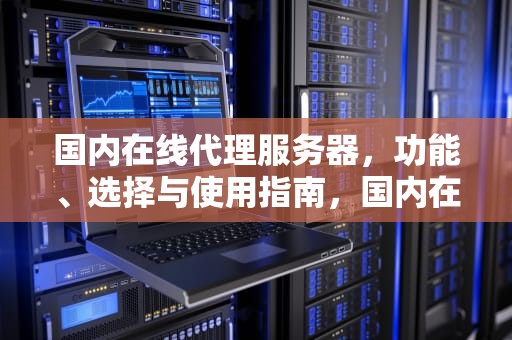 国内在线代理服务器，功能、选择与使用指南，国内在线代理服务器有哪些