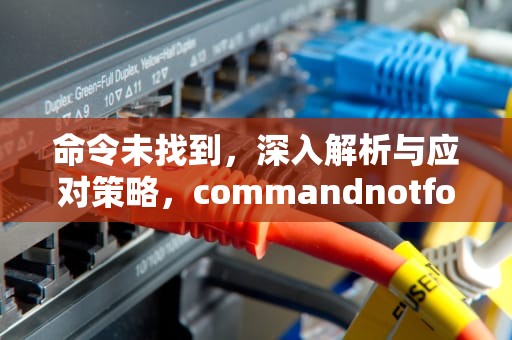命令未找到，深入解析与应对策略，commandnotfounderror