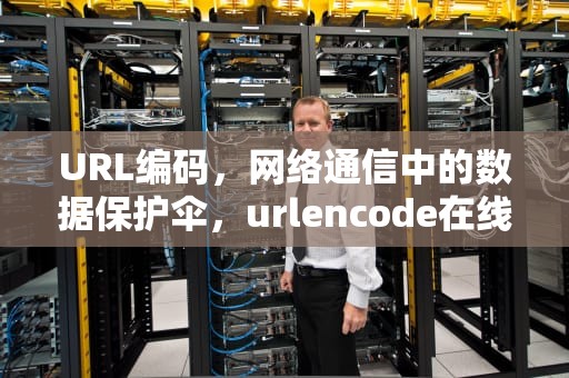 URL编码，网络通信中的数据保护伞，urlencode在线编码