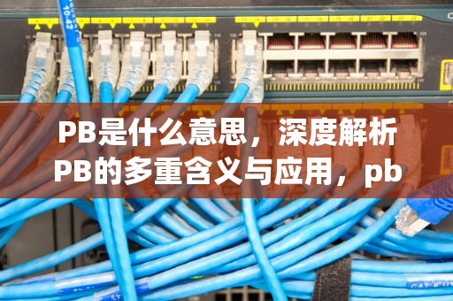 PB是什么意思，深度解析PB的多重含义与应用，pb是什么意思跑步