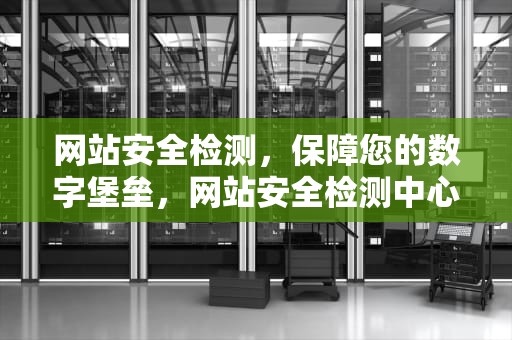 网站安全检测，保障您的数字堡垒，网站安全检测中心