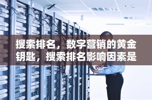 搜索排名，数字营销的黄金钥匙，搜索排名影响因素是指影响搜索引擎影响