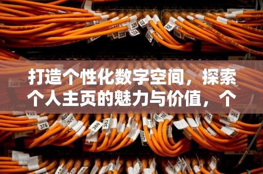 打造个性化数字空间，探索个人主页的魅力与价值，个人主页网页设计