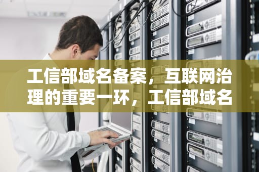 工信部域名备案，互联网治理的重要一环，工信部域名备案查询官网