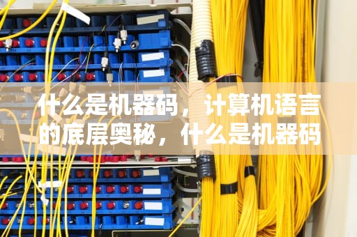 什么是机器码，计算机语言的底层奥秘，什么是机器码,在哪能找到机器码