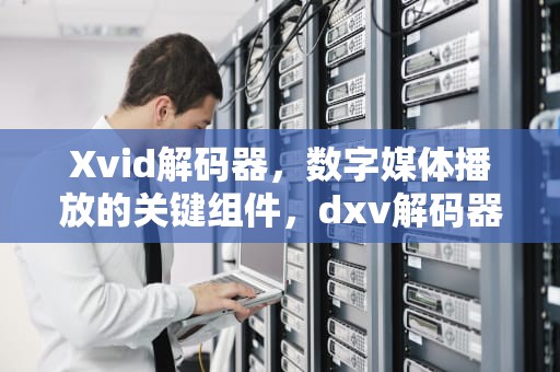 Xvid解码器，数字媒体播放的关键组件，dxv解码器使用教程