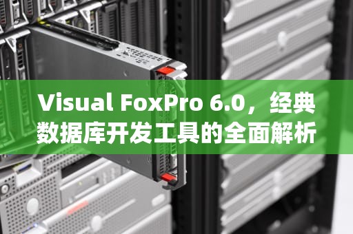 Visual FoxPro 6.0，经典数据库开发工具的全面解析，foxpro6.0安装教程
