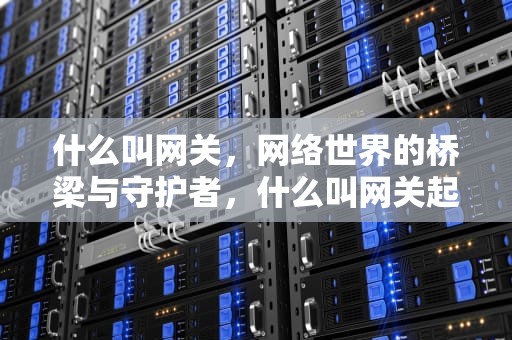 什么叫网关，网络世界的桥梁与守护者，什么叫网关起什么作用