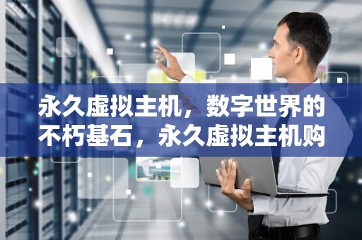 永久虚拟主机，数字世界的不朽基石，永久虚拟主机购买