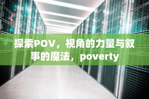 探索POV，视角的力量与叙事的魔法，poverty