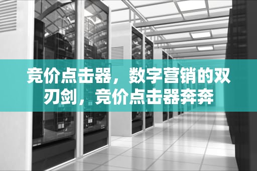 竞价点击器，数字营销的双刃剑，竞价点击器奔奔