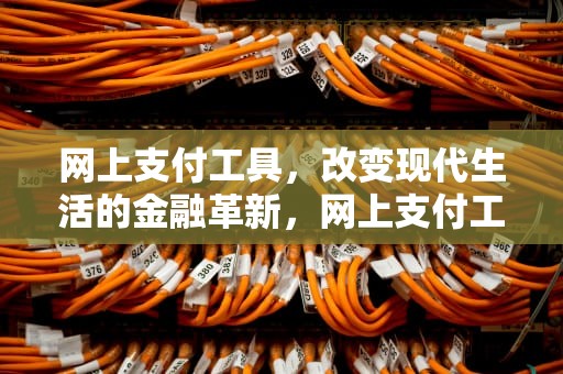 网上支付工具，改变现代生活的金融革新，网上支付工具主要有