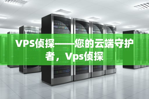 VPS侦探——您的云端守护者，Vps侦探
