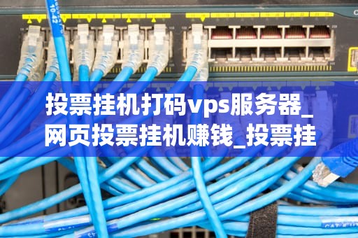 投票挂机打码vps服务器_网页投票挂机赚钱_投票挂机打码VPS服务器的全面解析