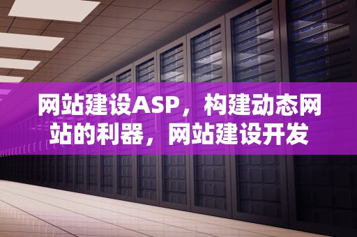 网站建设ASP，构建动态网站的利器，网站建设开发