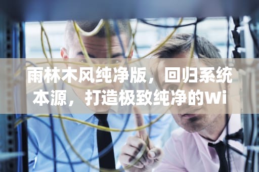 雨林木风纯净版，回归系统本源，打造极致纯净的Windows体验，雨林木风纯净版xp3系统