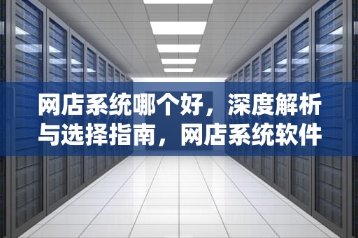 网店系统哪个好，深度解析与选择指南，网店系统软件