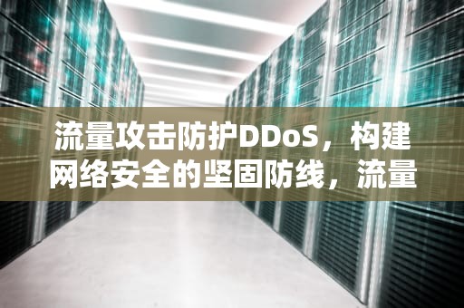 流量攻击防护DDoS，构建网络安全的坚固防线，流量攻击防护
