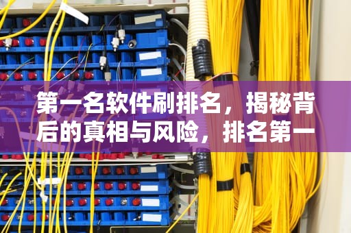 第一名软件刷排名，揭秘背后的真相与风险，排名第一的软件