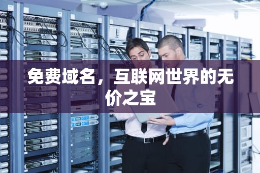 免费域名，互联网世界的无价之宝