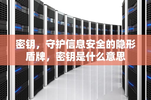 密钥，守护信息安全的隐形盾牌，密钥是什么意思