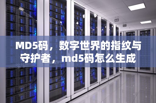 MD5码，数字世界的指纹与守护者，md5码怎么生成