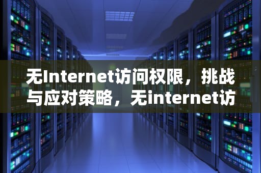 无Internet访问权限，挑战与应对策略，无internet访问权限怎么办