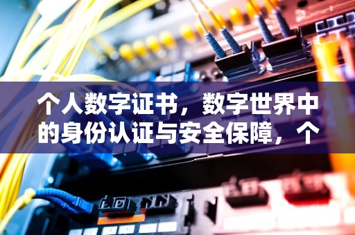个人数字证书，数字世界中的身份认证与安全保障，个人数字证书是什么东西