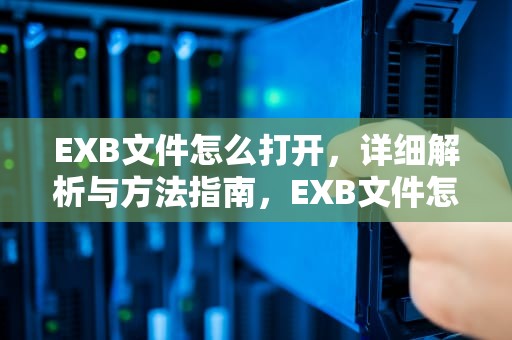 EXB文件怎么打开，详细解析与方法指南，EXB文件怎么打开