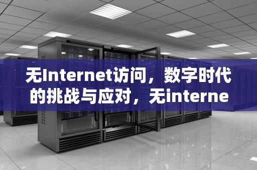 无Internet访问，数字时代的挑战与应对，无internet访问权限
