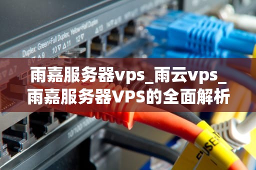 雨嘉服务器vps_雨云vps_雨嘉服务器VPS的全面解析