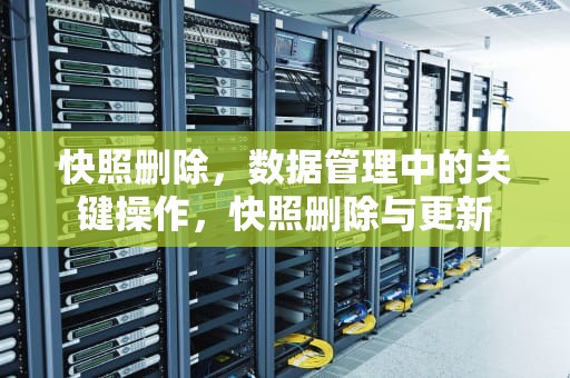 快照删除，数据管理中的关键操作，快照删除与更新