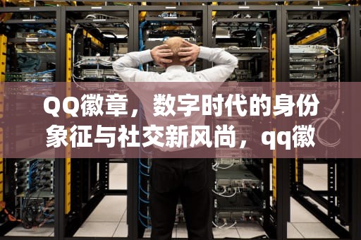 QQ徽章，数字时代的身份象征与社交新风尚，qq徽章哪里看