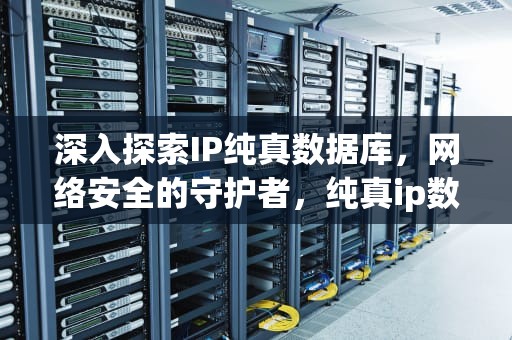 深入探索IP纯真数据库，网络安全的守护者，纯真ip数据库下载