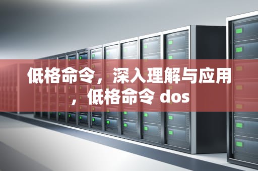 低格命令，深入理解与应用，低格命令 dos
