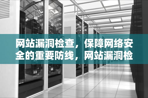 网站漏洞检查，保障网络安全的重要防线，网站漏洞检查方法