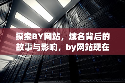 探索BY网站，域名背后的故事与影响，by网站现在的域名贴吧
