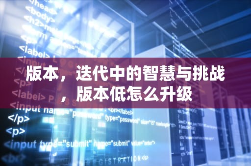 版本，迭代中的智慧与挑战，版本低怎么升级