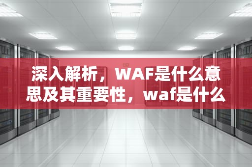 深入解析，WAF是什么意思及其重要性，waf是什么意思网络用语
