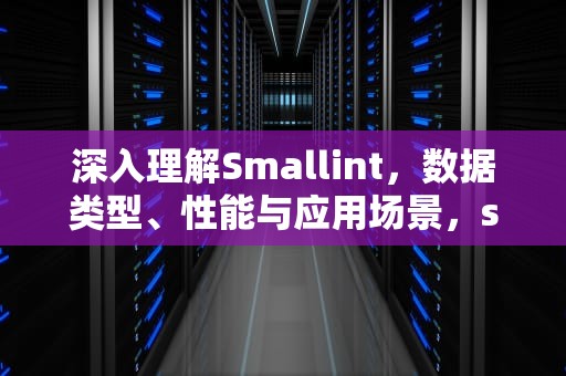 深入理解Smallint，数据类型、性能与应用场景，smallint在数据库中代表什么