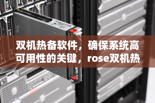 双机热备软件，确保系统高可用性的关键，rose双机热备软件