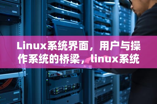 Linux系统界面，用户与操作系统的桥梁，linux系统界面怎么调大