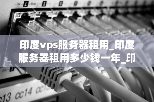 印度vps服务器租用_印度服务器租用多少钱一年_印度VPS服务器租用：优势、选择与注意事项