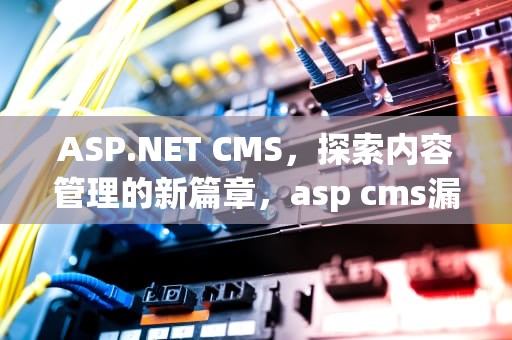 ASP.NET CMS，探索内容管理的新篇章，asp cms漏洞