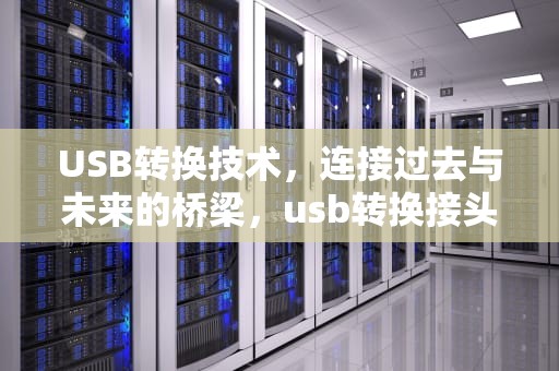 USB转换技术，连接过去与未来的桥梁，usb转换接头